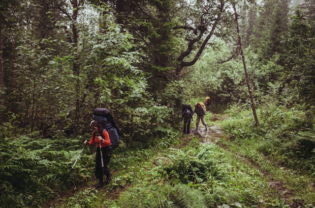 trekking alam