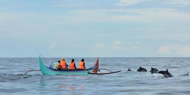 Foto Pantai Teluk Kiluan di Lampung