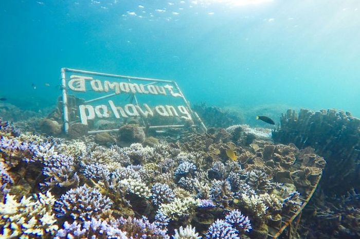 Itinerary Lampung 2 hari 1 malam Taman Laut Pahawang 