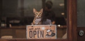 ilustrasi cafe baru di bandar lampung