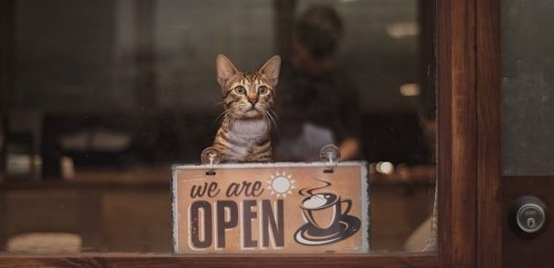 ilustrasi cafe baru di bandar lampung