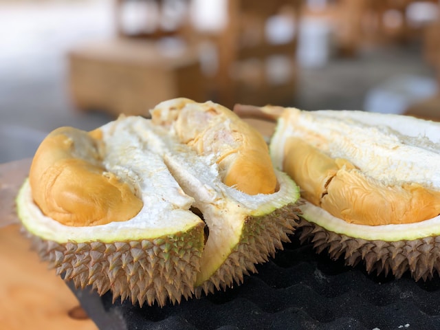 ilustrasi sambal durian